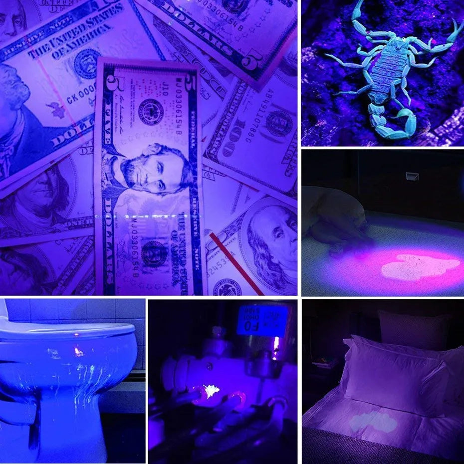 Phantom Vision UV Light – Illuminate the Hidden World