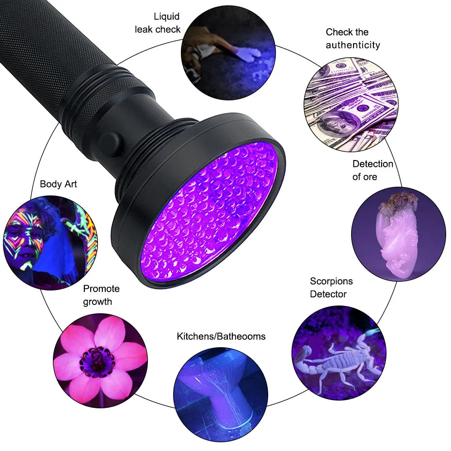 Phantom Vision UV Light – Illuminate the Hidden World