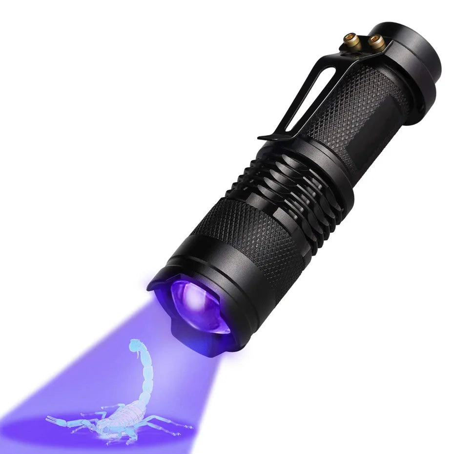 Phantom Vision UV Light – Illuminate the Hidden World