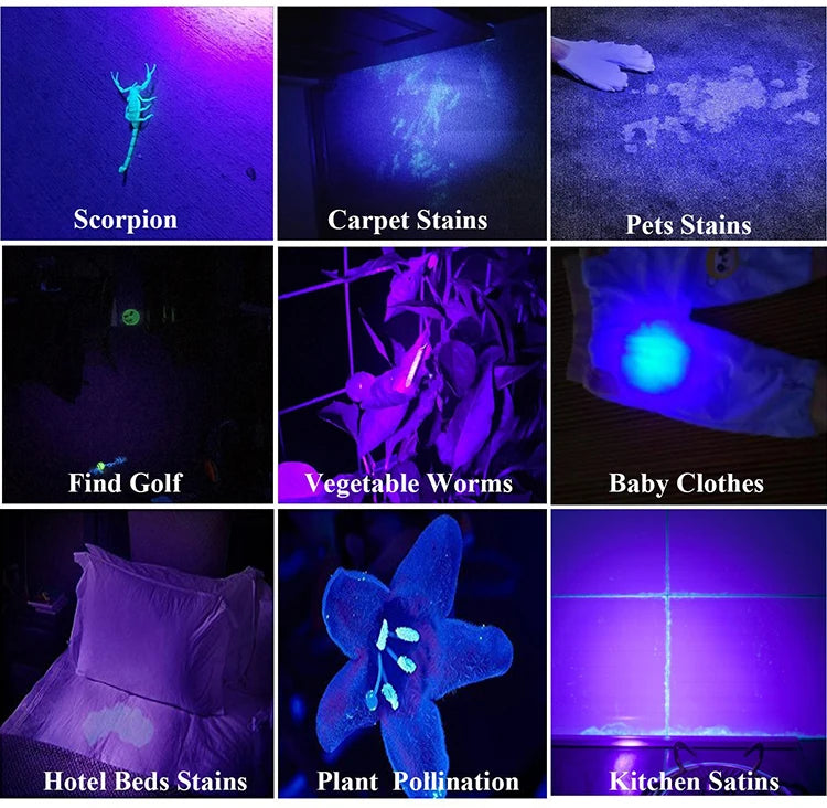 Mystic Reveal UV Flashlight – Unveil the Hidden World